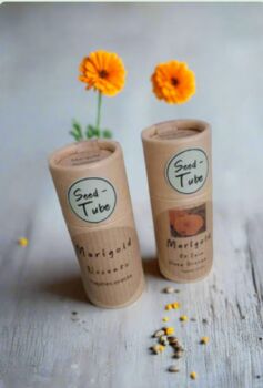 Marigold Seeds In A Seedtube, 2 of 4