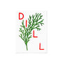 Dill Herb Print From An Original Painting, thumbnail 9 of 10