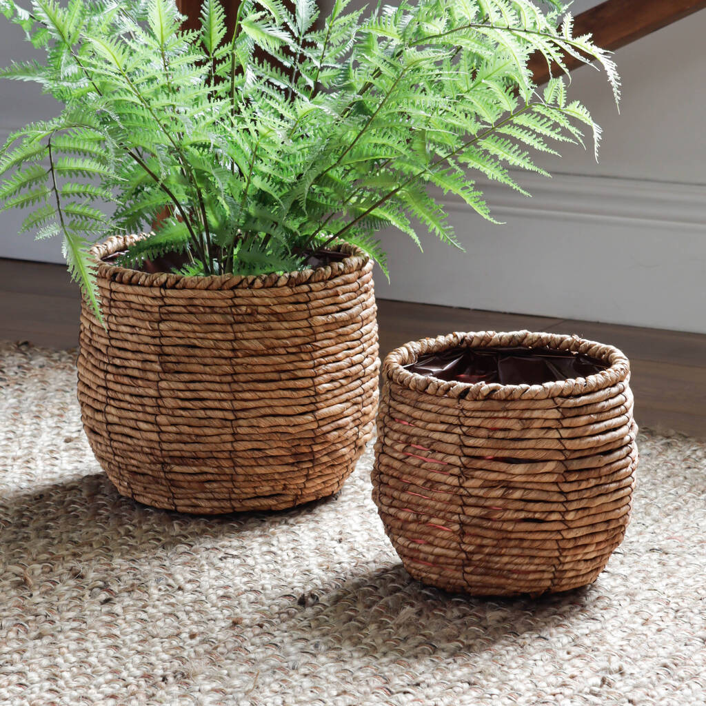 Natural Woven Basket Planter By Marquis & Dawe