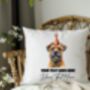 Personalised Border Terrier Birthday Congratulations Party Cushion, thumbnail 2 of 2