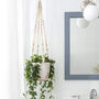 Macrame Plant Hangers With Wood Beads, thumbnail 1 of 6