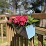 Pair Of Peaceful Pale Blue Hanging Balcony Planters, thumbnail 1 of 6