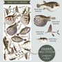Puffer Fish Peel And Stick Fabric Wall Decals, thumbnail 8 of 8