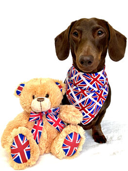 Union Jack Dog Bandana, 3 of 5