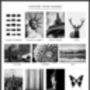Selection Of Contemporary Black And White Prints, thumbnail 2 of 8