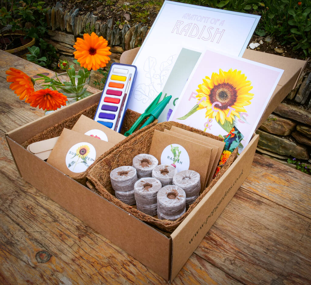 Spring Gardening And Art Wellbeing Box™, 1 of 10