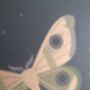 Moths Riso Art Print By Peski Studio, thumbnail 4 of 4