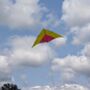 Giant Delta Kite, thumbnail 3 of 11