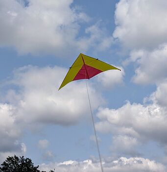 Giant Delta Kite, 3 of 11