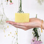 Handmade Patchouli And Citronella Soap, thumbnail 1 of 6