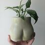 Handmade Bum Plant Pot, thumbnail 6 of 7