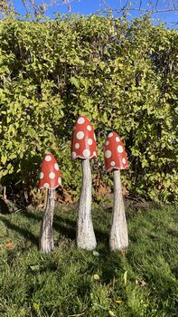 Set Of Three Wooden Red Mushrooms For Garden, 8 of 10