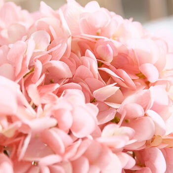 Pink Hydrangeas In Glass Vase, 3 of 4