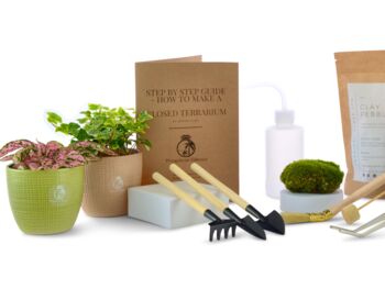 Small Diy Terrarium Kit With Optional Plants And Tools, 3 of 6