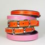 Padded Leather Dog Collar, thumbnail 2 of 9