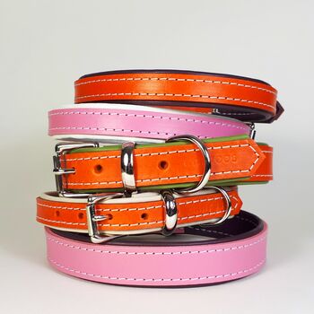 Padded Leather Dog Collar, 4 of 9