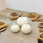 Natural White Pumpkin Candle Set Of Three Autumn Decor, thumbnail 2 of 10