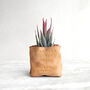 Personalised Wedding Gift Leather Paper Bag Planter With Plant, thumbnail 1 of 4