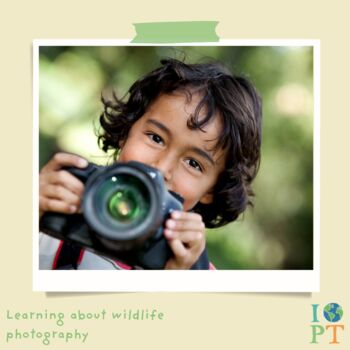 Children's Eco Activity Box: The Secret Life Of Birds, 9 of 11