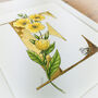 E Is For Evening Primrose Illuminated Botanical Print, thumbnail 2 of 5