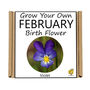 Unusual Birthday Gardening Gift. February Birth Flower, thumbnail 3 of 3