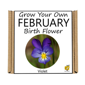 Unusual Birthday Gardening Gift. February Birth Flower, 3 of 3