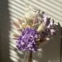 Purple Hydrangea Dried Flower Posy With Jar, thumbnail 1 of 7