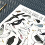 Coastal Birds Of Britain Illustrated Postcard, thumbnail 4 of 8