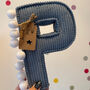 Pompom Corduroy Fabric Letters, thumbnail 6 of 11