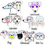 Day Of The Dead Halloween Dog ID Tag, thumbnail 3 of 12