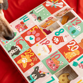 Exclusive Christmas Advent Calendar For Dogs, 11 of 11