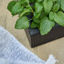 Mela Wide Black Ribbed Planter, thumbnail 6 of 7