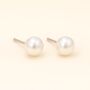 Classic Sterling Silver White Freshwater Pearl Stud Earrings, thumbnail 3 of 7