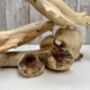 Hand Carved Wooden Whale Pair Sculpture Ornament, thumbnail 9 of 12