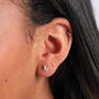 Message Bottle 'Don't Hide' Two Tone Butterfly Earrings, thumbnail 3 of 4