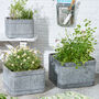 Set Of Three Industrial Corrugated Tub Planters, thumbnail 1 of 6