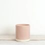 Kasvi Blush Plant Pot, thumbnail 3 of 4