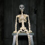 Micro LED Light Up Skeleton Halloween Decoration, thumbnail 9 of 12