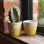 Yellow Espresso Cups Set Of Six, thumbnail 4 of 4