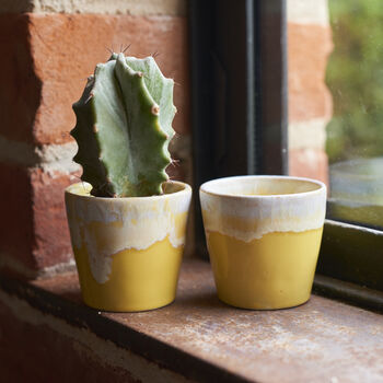 Yellow Espresso Cups Set Of Six, 4 of 4