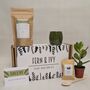 Plant Your Own Succulent Kit, thumbnail 9 of 12