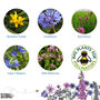 Wildflower Seeds For Bees Pack Of Three, thumbnail 9 of 9