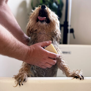 100% Natural Vegan Solid Dog Shampoo Bar, 12 of 12