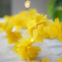 Diwali Marigold Fairy Lights, thumbnail 4 of 8