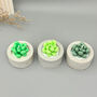 Green Succulent Candles In Handmade Concrete Pots, thumbnail 7 of 12