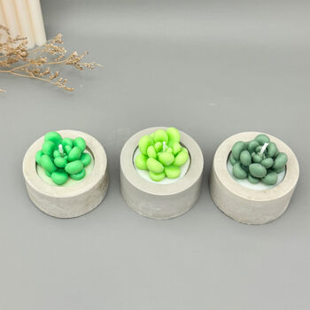 Green Succulent Candles In Handmade Concrete Pots, 7 of 12