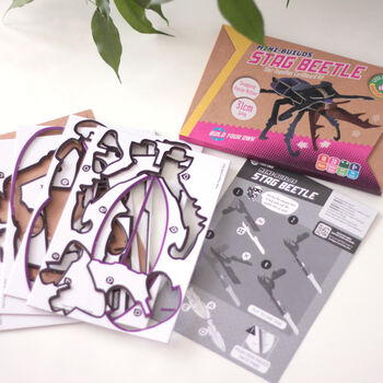 Build Your Own Personalised Stag Beetle Kit, 8 of 9