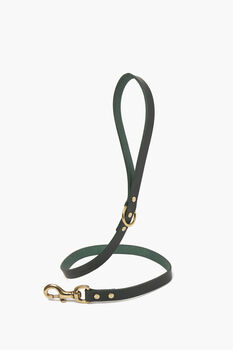 Personalised Green Leather Dog And Puppy Lead, 2 of 4
