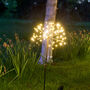 Solar Dandelion Stake Light, thumbnail 8 of 12