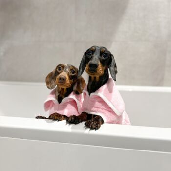 Personalised Luxury Dog Drying Coat, 9 of 11